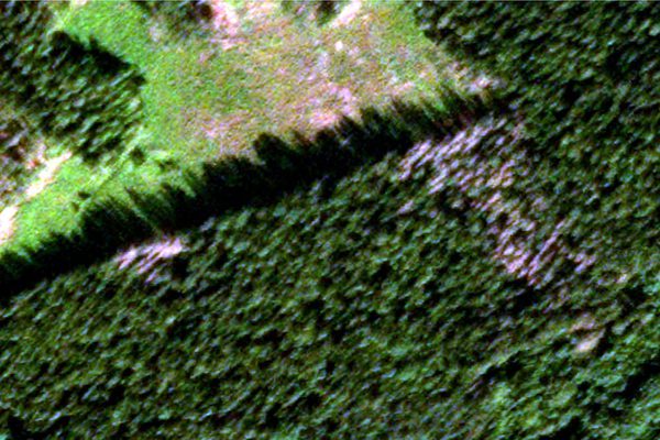 SLC - Pa Satellitbilden Framtrader Doda Trad Som Graa Kalla Skywatch