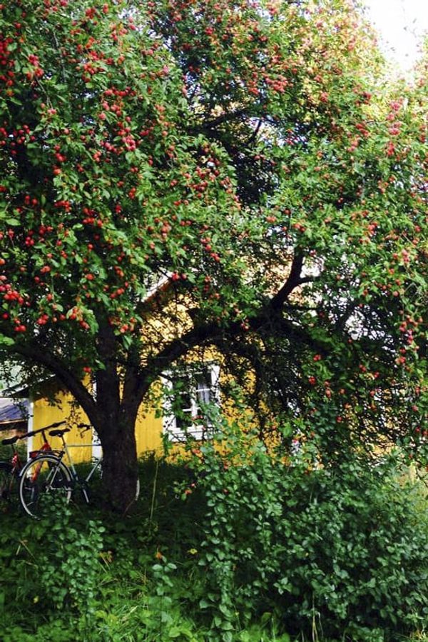 SLC - Postbacken