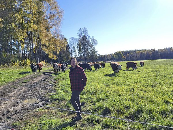SLC - Slc Nyland Hanna Och Kor