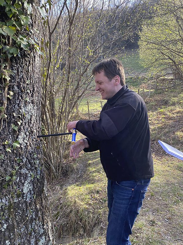 SLC - Timmer Wood Sampling Foto Victor Deklerck