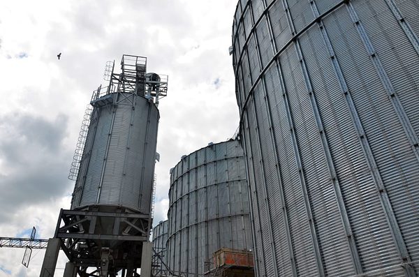 SLC - Ukraine M Fao