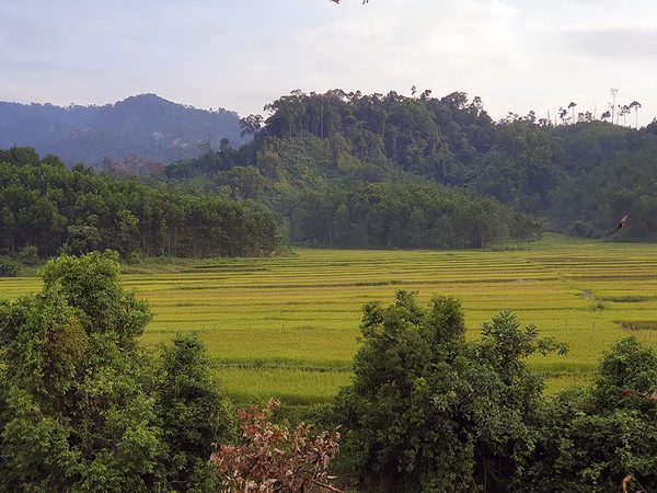 SLC - Vietnam1