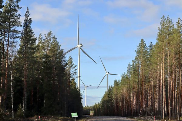 SLC - Vindkraft Djur