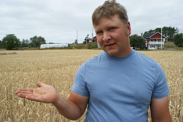SLC - Aland Lofmans 1 Webben