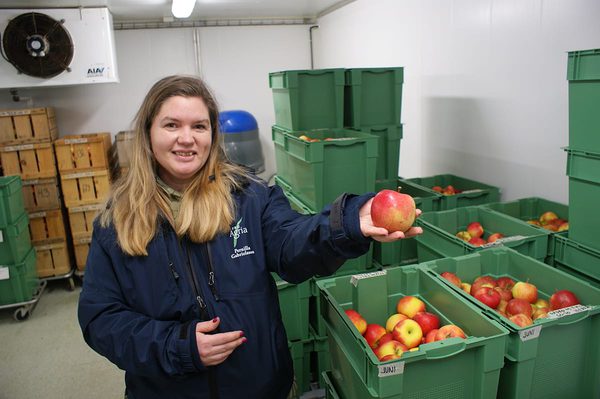 SLC - Aland Appel 1 Webben