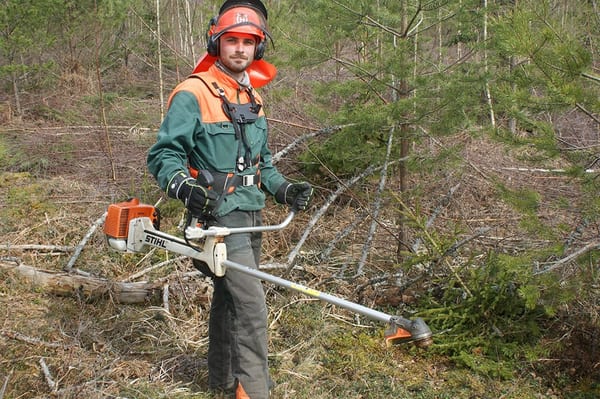 SLC - Rojningar 1 Webben