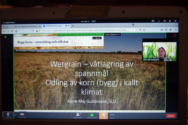 SLC - Wet Grain Package A
