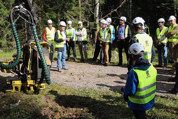 SLC - Dg Skog 4