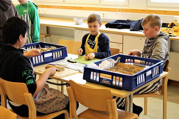 SLC - Dalsbruks Skola 1