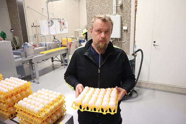 SLC - Aggproduktion 1 A Webben