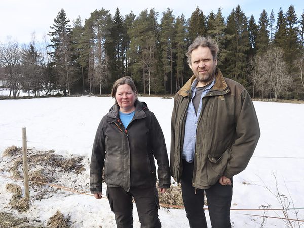 SLC - Holmqvist A Webben
