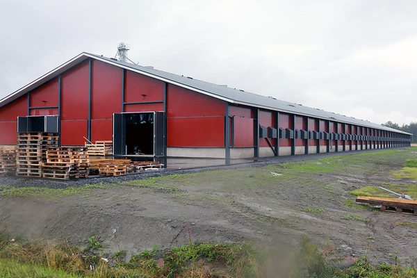 SLC - Kalkoner 5 Webben