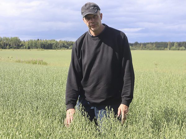 SLC - Osterbotten Eklund A Webben
