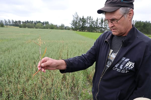 SLC - Osterbotten Sjogard 2 A Webben
