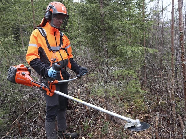 SLC - Rojning 3 B Webben