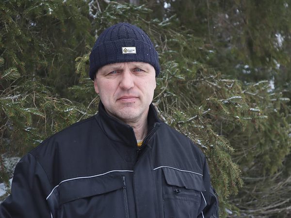 SLC - Samfalld Skog 2 A Webben