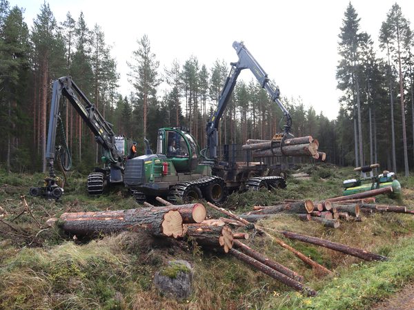 SLC - Skogsmaskinforare 1 B Webben