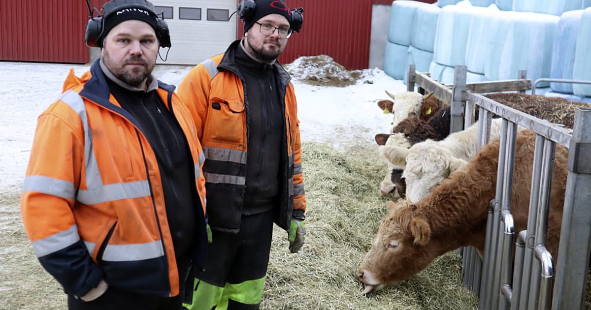 Jobbar Dada Jobbar hårt – men de har inte rätt till full… | Landsbygdens Folk