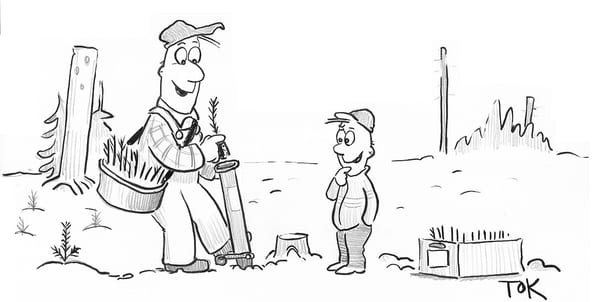 SLC - Plantering 23